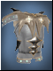 Armor of Frior